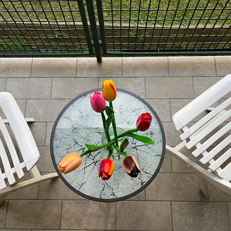 La Casa Gialla Di Valentina Bellano